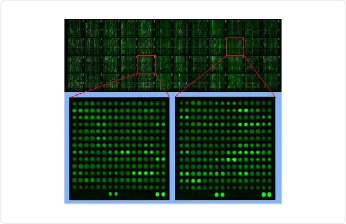 High-density microarray imaging with enlarged spot regions