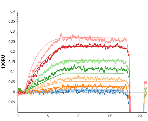 Representative small-molecule SPRi sensorgram