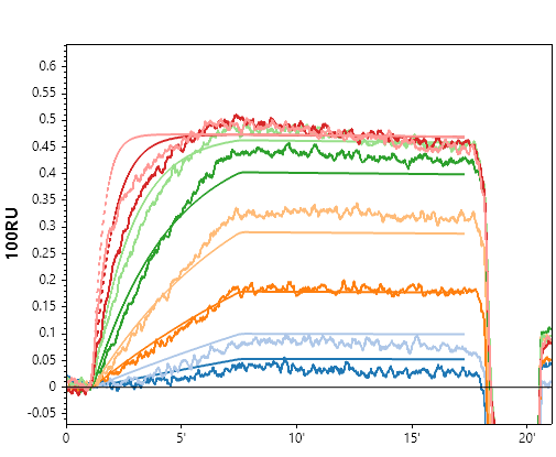 Representative small-molecule SPRi sensorgram