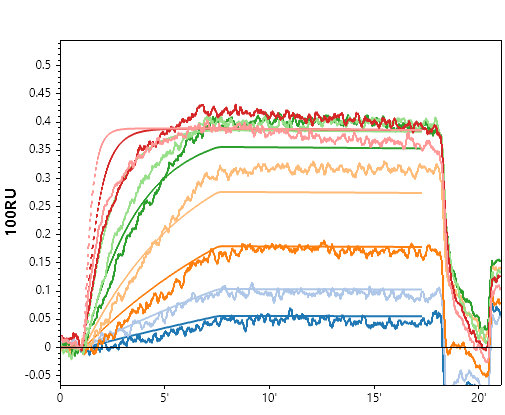 Representative small-molecule SPRi sensorgram