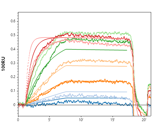 Representative small-molecule SPRi sensorgram