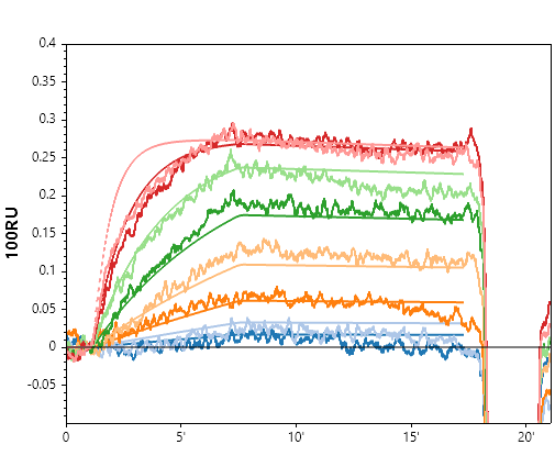 Representative small-molecule SPRi sensorgram