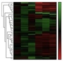 Compound-clustering heatmap