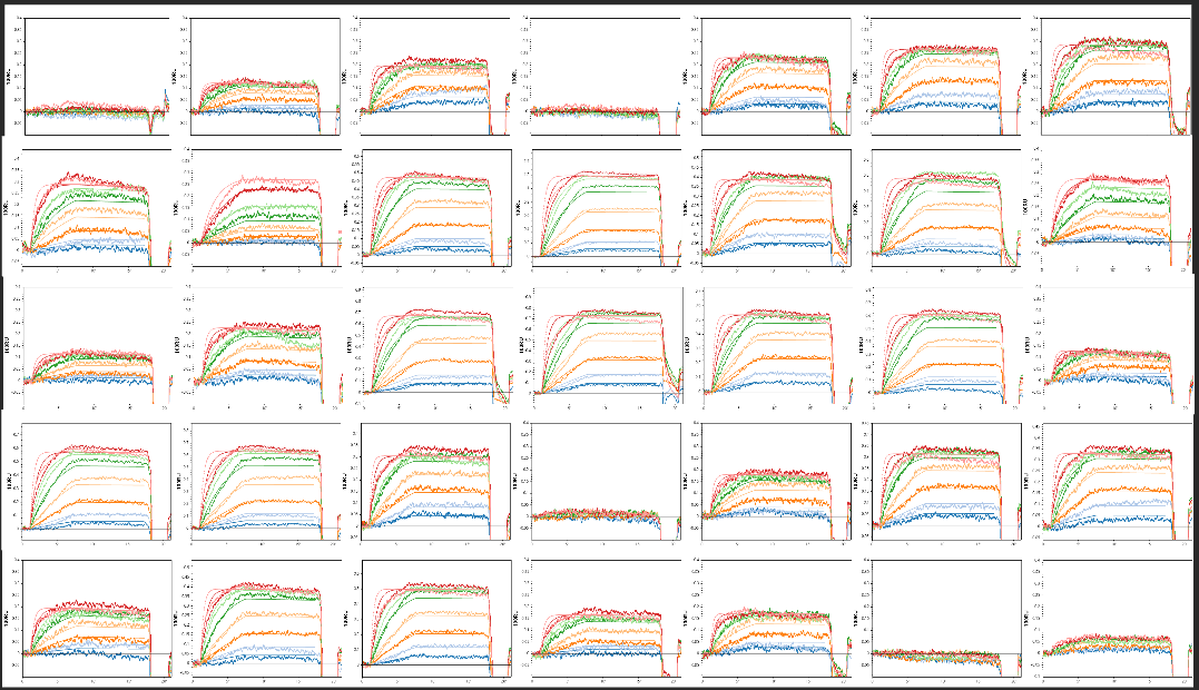 Representative concentration-resolved SPRi sensorgrams from a VHH dataset